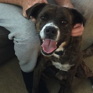 Meet your Posher, Judy